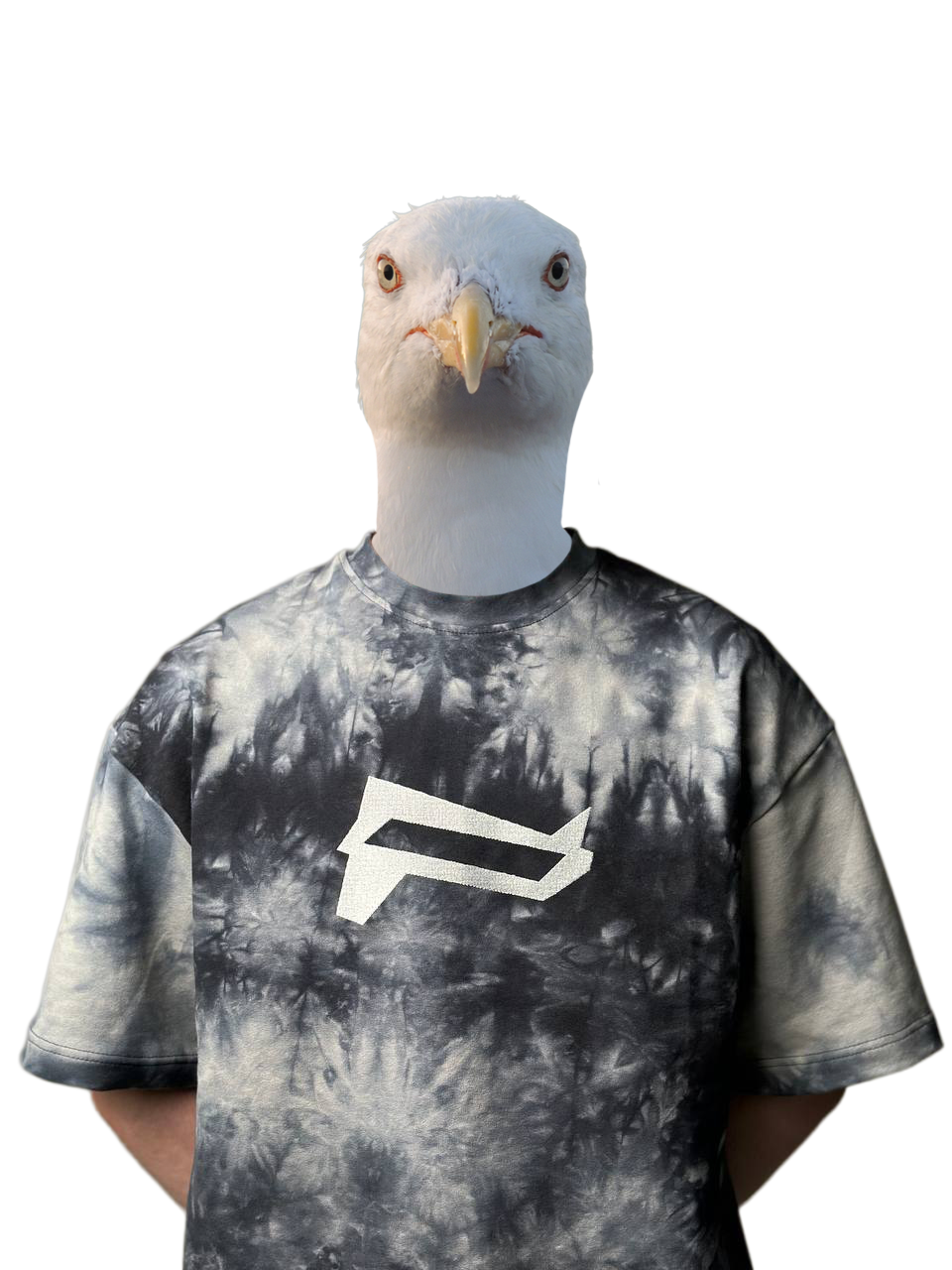 Фото гравця chaa9ka